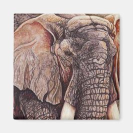 De matriarch - Afrikaanse olifant Magneet