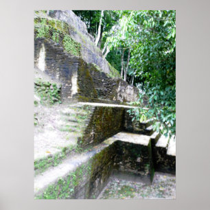 De Mayaanse hoek Poster