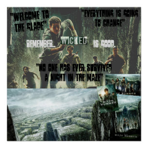 DE MAZE RUNNER PERFECT POSTER