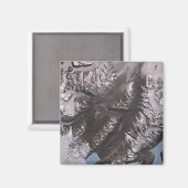 De McMurdo Dry Valleys Magneet (Voorkant / Achterkant)