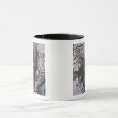 De McMurdo Dry Valleys Mok (Midden)