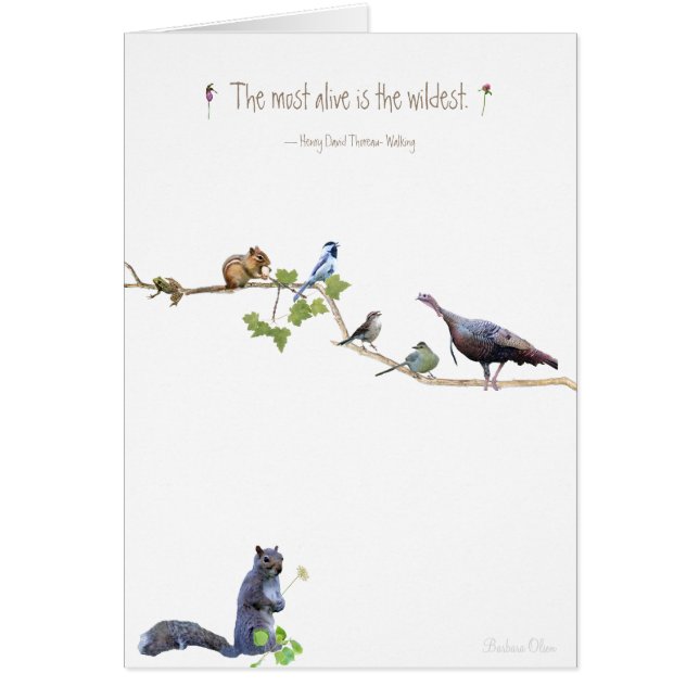 De meest levende is de wildste.~Henry David Thorea (Voorkant)