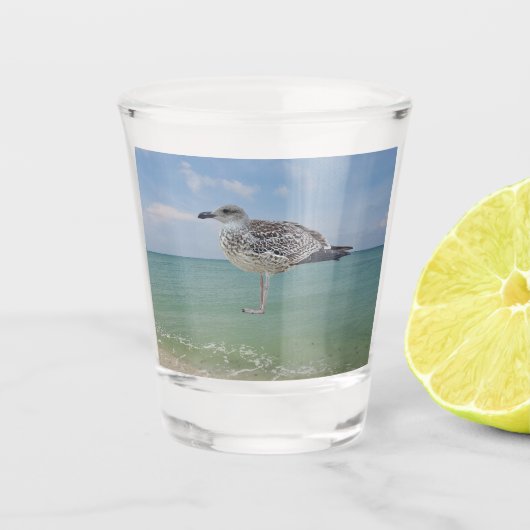 De meeuwen shot glas (Voorkant)