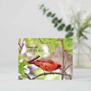 De Meilleurs Jours Viennent Carte Postale