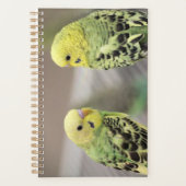 De meisjes planner (Voorkant)