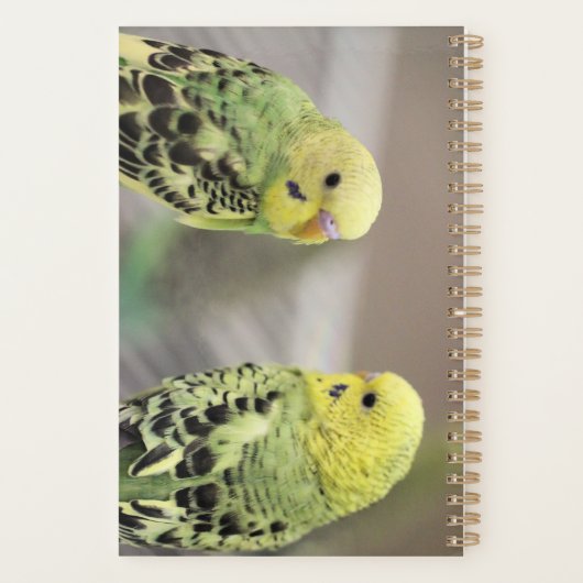 De meisjes planner (Achterkant)