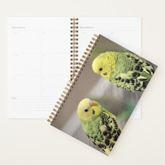 De meisjes planner (Display)