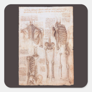 De menselijke anatomie skeletbotten van Leonardo d Vierkante Sticker