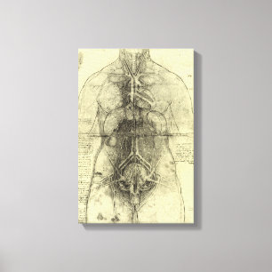 De menselijke anatomie van Leonardo da Vinci, Vrou Canvas Afdruk