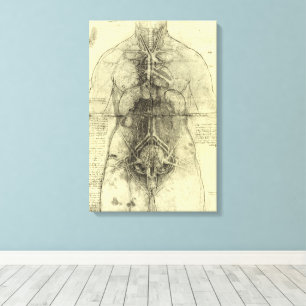 De menselijke anatomie van Leonardo da Vinci, Vrou Canvas Afdruk