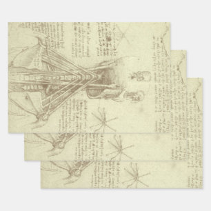 De menselijke anatomie van Leonardo da Vinci: werv Inpakpapier Vel