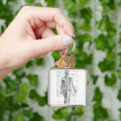 De menselijke Grafiek van de Anatomie Sleutelhanger (Hand)