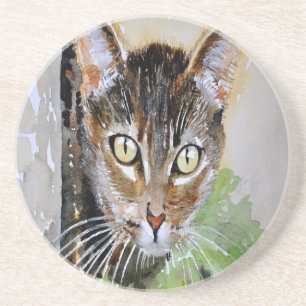 De merkwaardige tablet katten acrylverf zandsteen onderzetter
