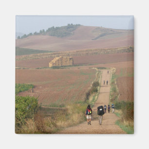 De Meseta Magnet Magneet