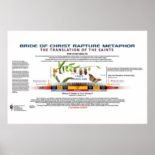 De metamorfose van de Christus-bride Poster