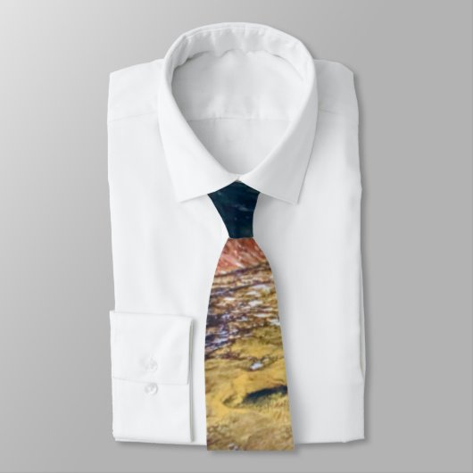 De metro stropdas (Gebonden)