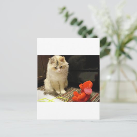 De miauwen "Gelukkige Valentijnsdag van Snuggler! Feestdagenkaart (Staand voorkant)