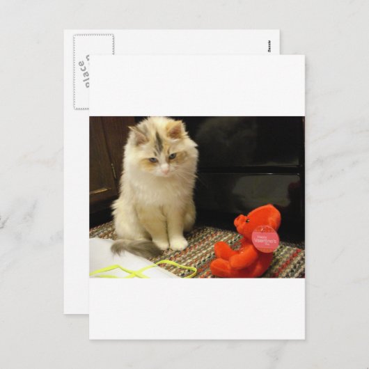 De miauwen "Gelukkige Valentijnsdag van Snuggler! Feestdagenkaart (Voorkant / Achterkant)