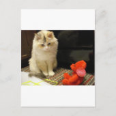 De miauwen "Gelukkige Valentijnsdag van Snuggler! Feestdagenkaart (Voorkant)