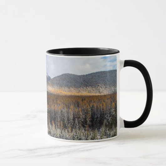 De Middle Fork van de Flathead River Mok (Rechts)