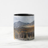 De Middle Fork van de Flathead River Mok (Midden)