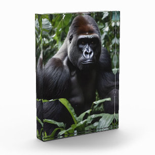 De Midnight Gorilla King: Monarch van het bos Fotoblokken