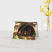 De miereneter kaart (Gele Bloem)