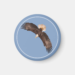 De Mighty Eagle Magneet
