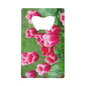 De mignonnes tulipes écarlate dans le jardin (Devant)