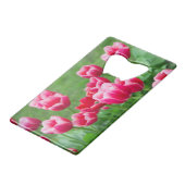 De mignonnes tulipes écarlate dans le jardin (Devant Angle)