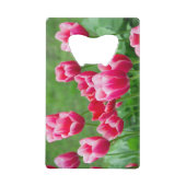 De mignonnes tulipes écarlate dans le jardin (Dos)