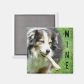 DE MIJNE! Australische herder magneet (Voorkant / Achterkant)