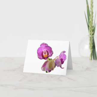 De miniatuur Nota's van de Orchidee Bedankkaart