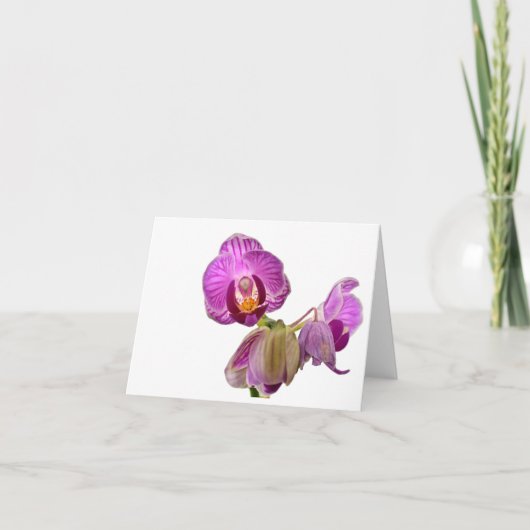 De miniatuur Nota's van de Orchidee Bedankkaart (Voorkant)