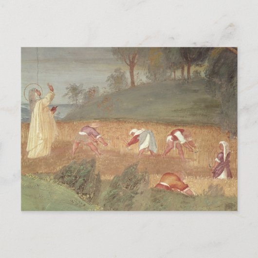 De Mirakels van de Sint-Karel van Assisi Briefkaart (Voorkant)