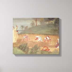 De Mirakels van de Sint-Karel van Assisi Canvas Afdruk