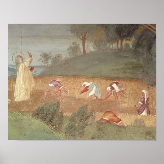 De Mirakels van de Sint-Karel van Assisi Poster (Voorkant)