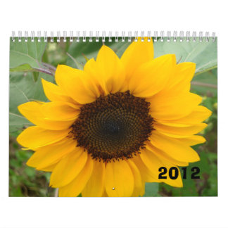 De Miss Molly-fotokalender Kalender