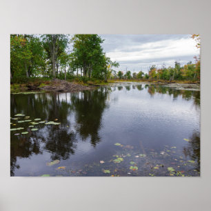 de Missisquoi-rivier door het wildreservaat Poster