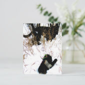 De Mitten Ukraine Folk Tale Briefkaart (Staand voorkant)