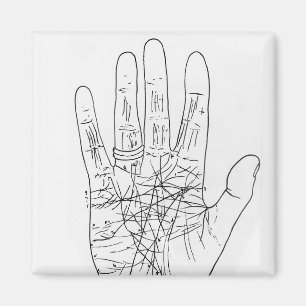 De modelhand magneet