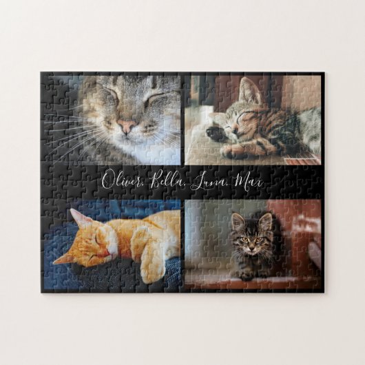 De moderne Naam van het Manuscript van de Douane v Legpuzzel (Horizontaal)