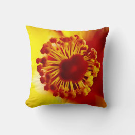 De moeder van de belemmering kussen