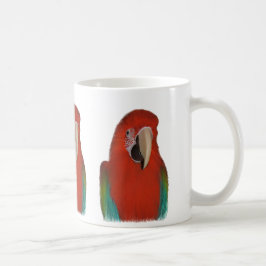 De Mok Parrot