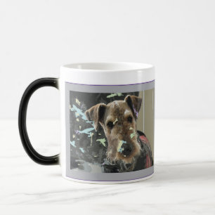 De Mok van Airedale Terrier