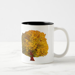 De Mok van de Boom van de Kans