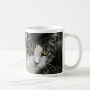 De Mok van de Koffie van de Baby Kijk
