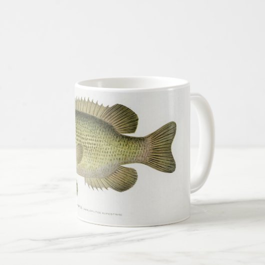 De Mok van de rotsbas-visser (Voorkant rechts)