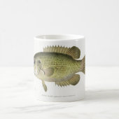 De Mok van de rotsbas-visser (Center)