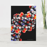 De molecule van DNA. Moleculair model van DNA